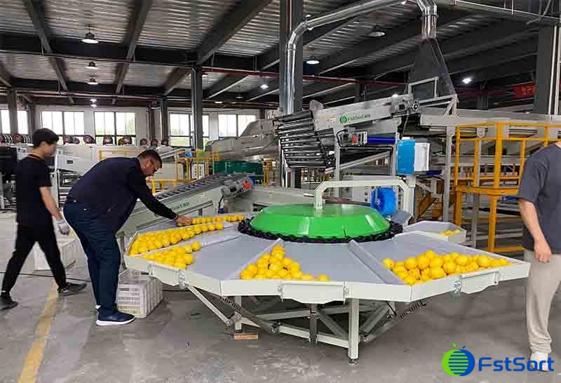 images/1716449457475fruit weight sorter.jpg